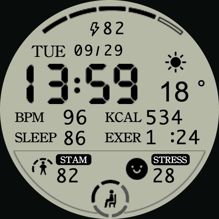 Health Dashboard watch-face preview